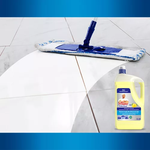 Mr. Proper Professional Citrom 5 L 